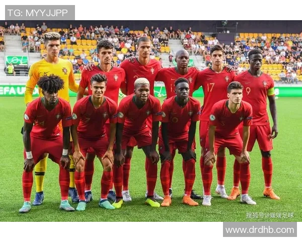 波黑足球明星阵容揭秘探索他们的辉煌成就与影响力