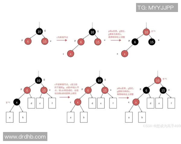 重庆排球队的战术控制体系解析与实践探讨