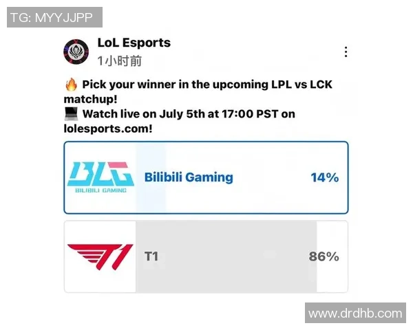 英雄联盟深度解析BLG战队转型背后的策略与挑战