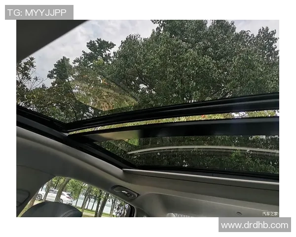 武汉攀岩队区域防守分析与战术得失探讨