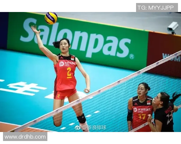 权威发布：2023年排球意识与实力综合排行榜揭晓