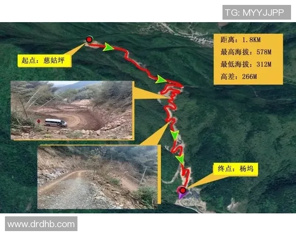 深圳与广州极限运动队耐力对决赛后分析与反思