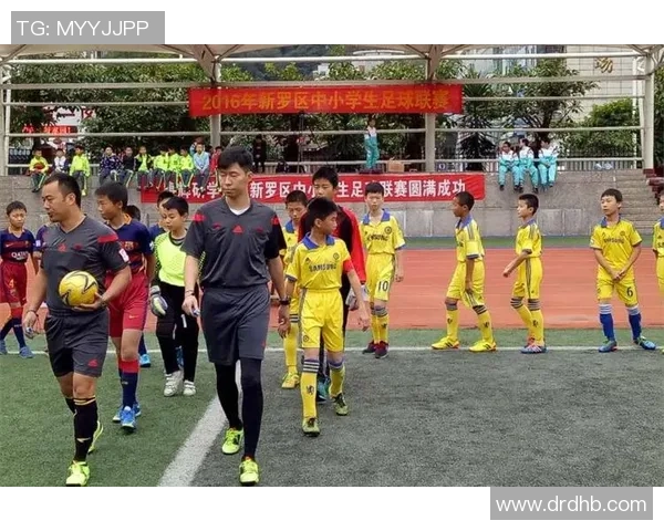 英协足球的历史传承与未来发展探讨：从草根到职业的演变之路