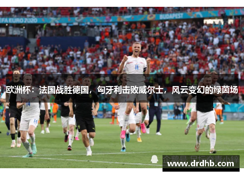 欧洲杯：法国战胜德国，匈牙利击败威尔士，风云变幻的绿茵场